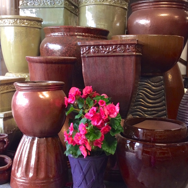 Earth-Tone-pots-with-Evie-Pink-Begonia-in-foreground