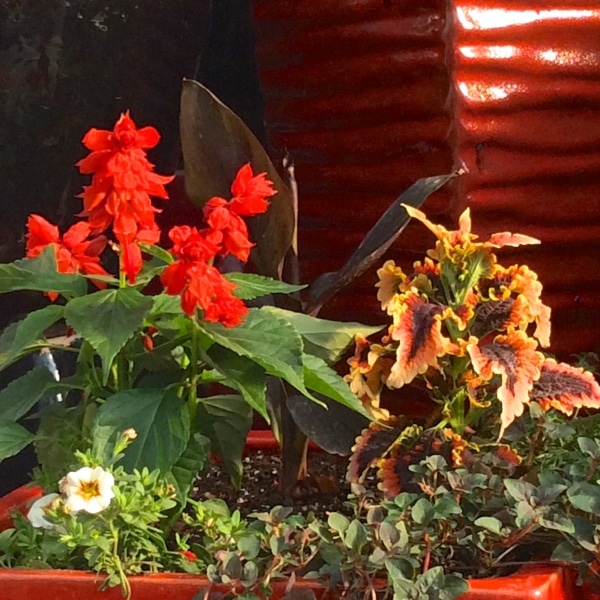 Striking-container-combination