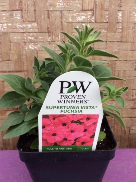 15A972EC-CA83-4F1A-915A-F66C4EDCFA27