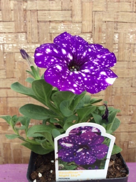 33D34FF7-1185-4D4C-8F6F-436751015657