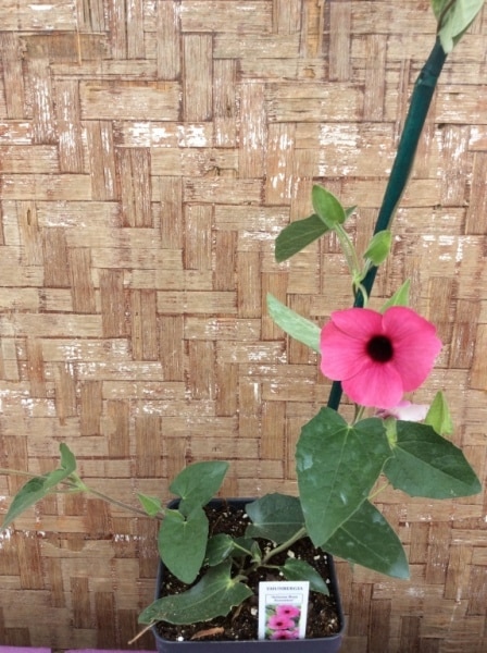 350C13E8-D299-405C-A0CA-7EC228680101