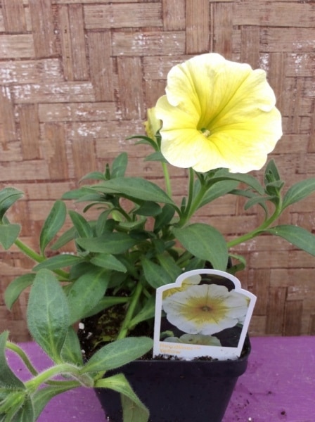 3AD8D7A9-0C53-4C08-AD9B-BEDA496BA849