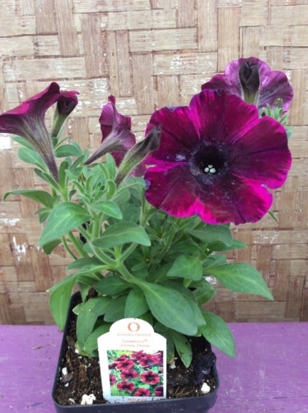 78139921-2BE5-4399-9FA7-E8079CBCC424