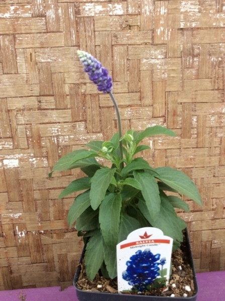 7EFF74F8-67D5-42E5-A23A-8AC12A3C77F0