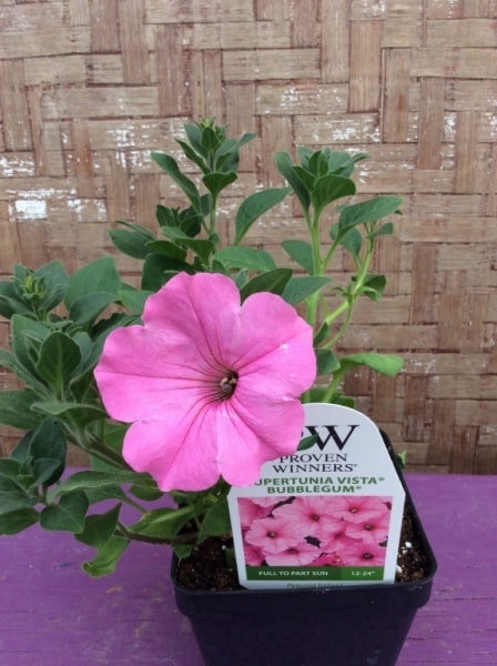 F2AE5F64-DBD7-42B8-B3AD-7BC653FF0F51