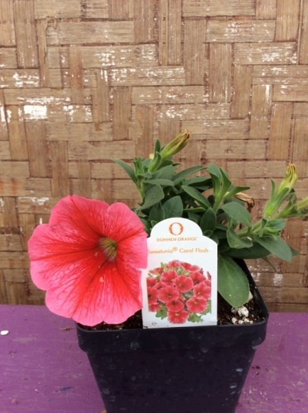 FE22B951-6D66-42DD-A47E-48CE14DFF7C0