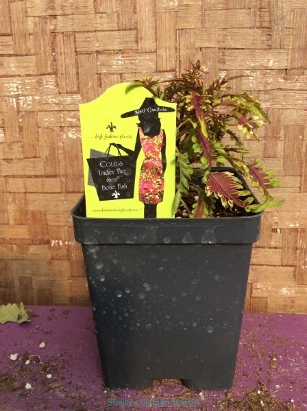 748B6B14-8B00-4FDD-9A1E-0A1FBFFC2D00