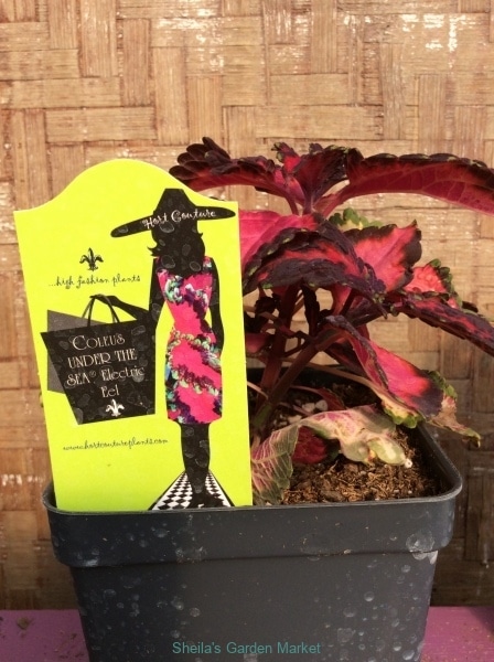 75B11AA9-D7C8-4473-A4DD-696D8BDA4192