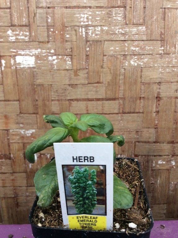 155353FA-5817-4EC5-92B4-DBBB8AFDF69B