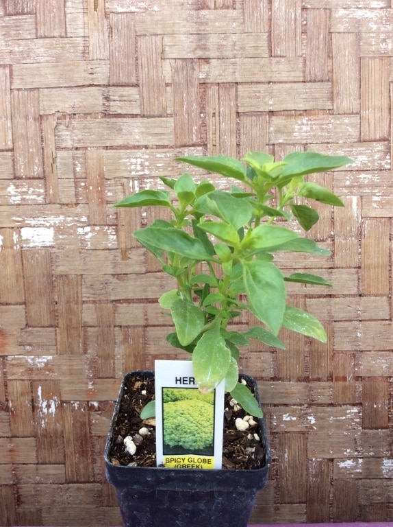 2C762C27-B4B4-4874-AA06-741D6FB68E7F