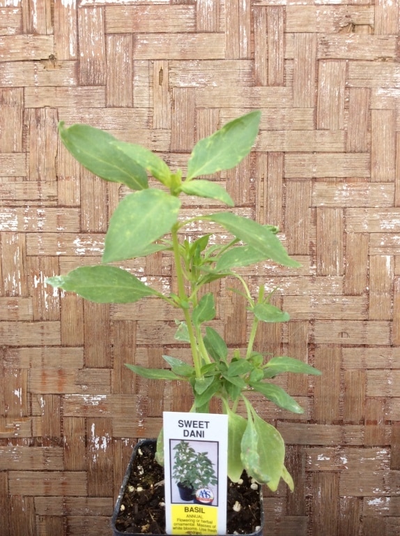 2E483C12-E71F-4934-B061-EE520AC27319