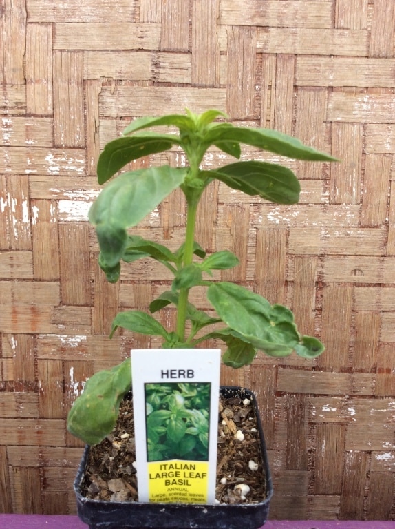 469ACB9A-BCAF-4283-BEFB-6CFF0092F1F4