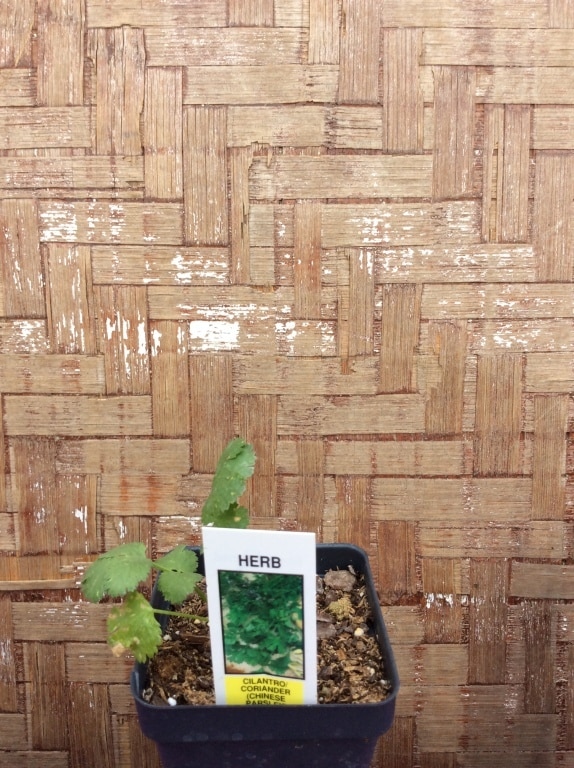 4A88417B-BCA1-405F-AC0F-39234DDC2D62