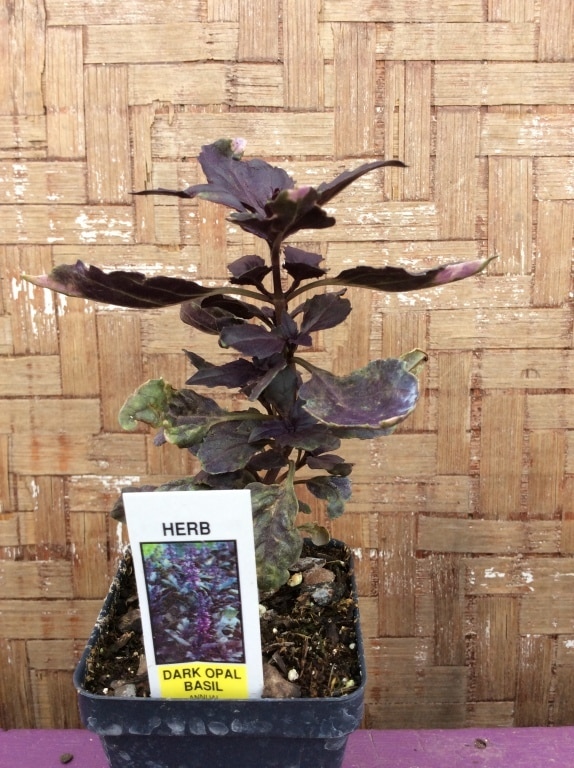 5614B53D-CEA3-4ED9-899B-D9D5FB86FCE1