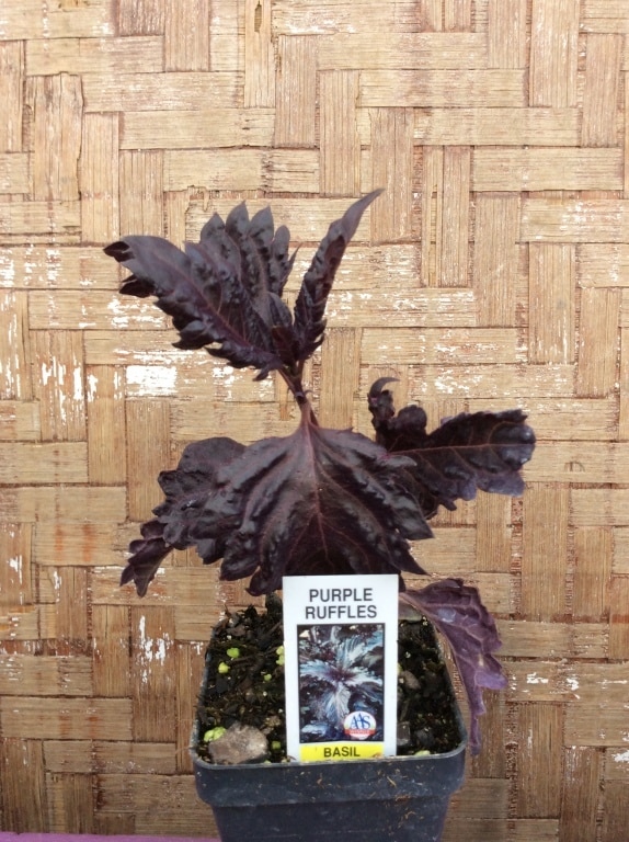 74D1DBCF-EB50-42E4-87DD-D6BAD76BCE57