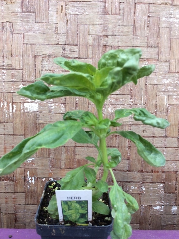 81FF170D-E8E5-4EAA-A024-6C4C4CD02A9B