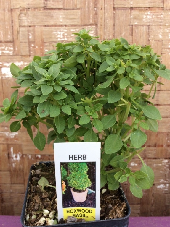 918F6B65-627D-487E-AC57-BE465FBD71DA