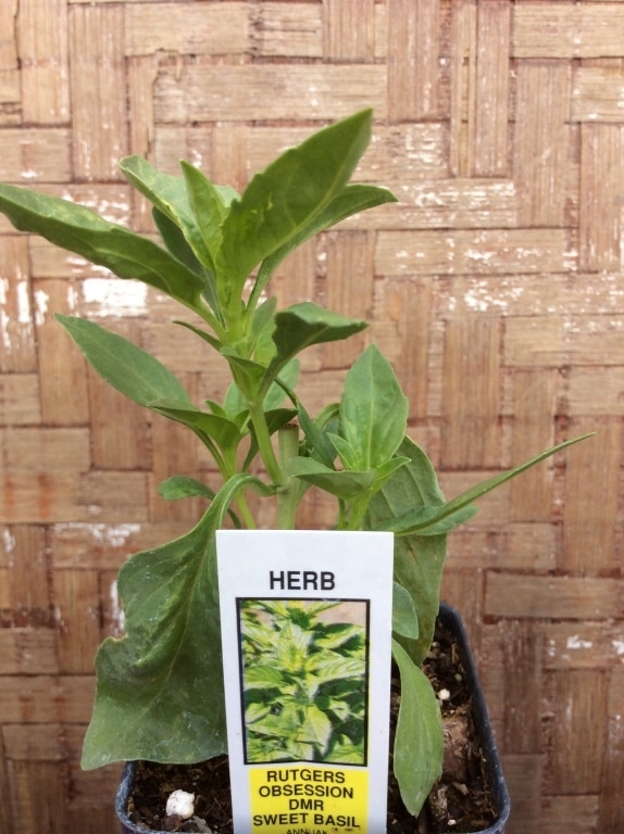 D30A3E1D-1282-4EBD-A0A7-A5FBF9B53381