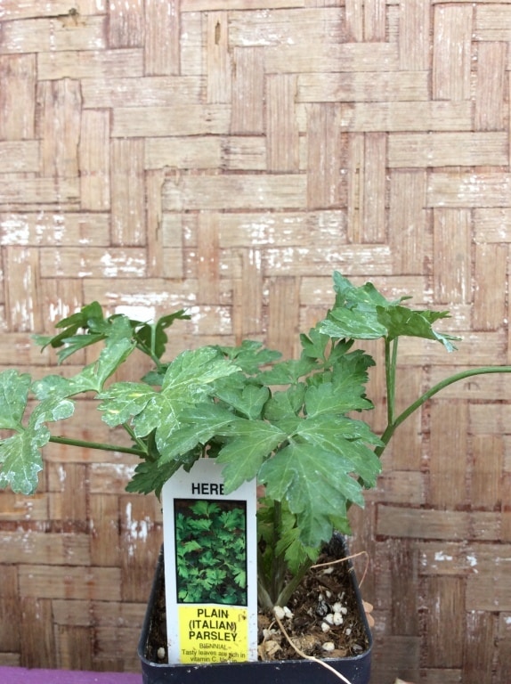 FB61C673-E84A-43A1-9F2D-2D80212F8ECE