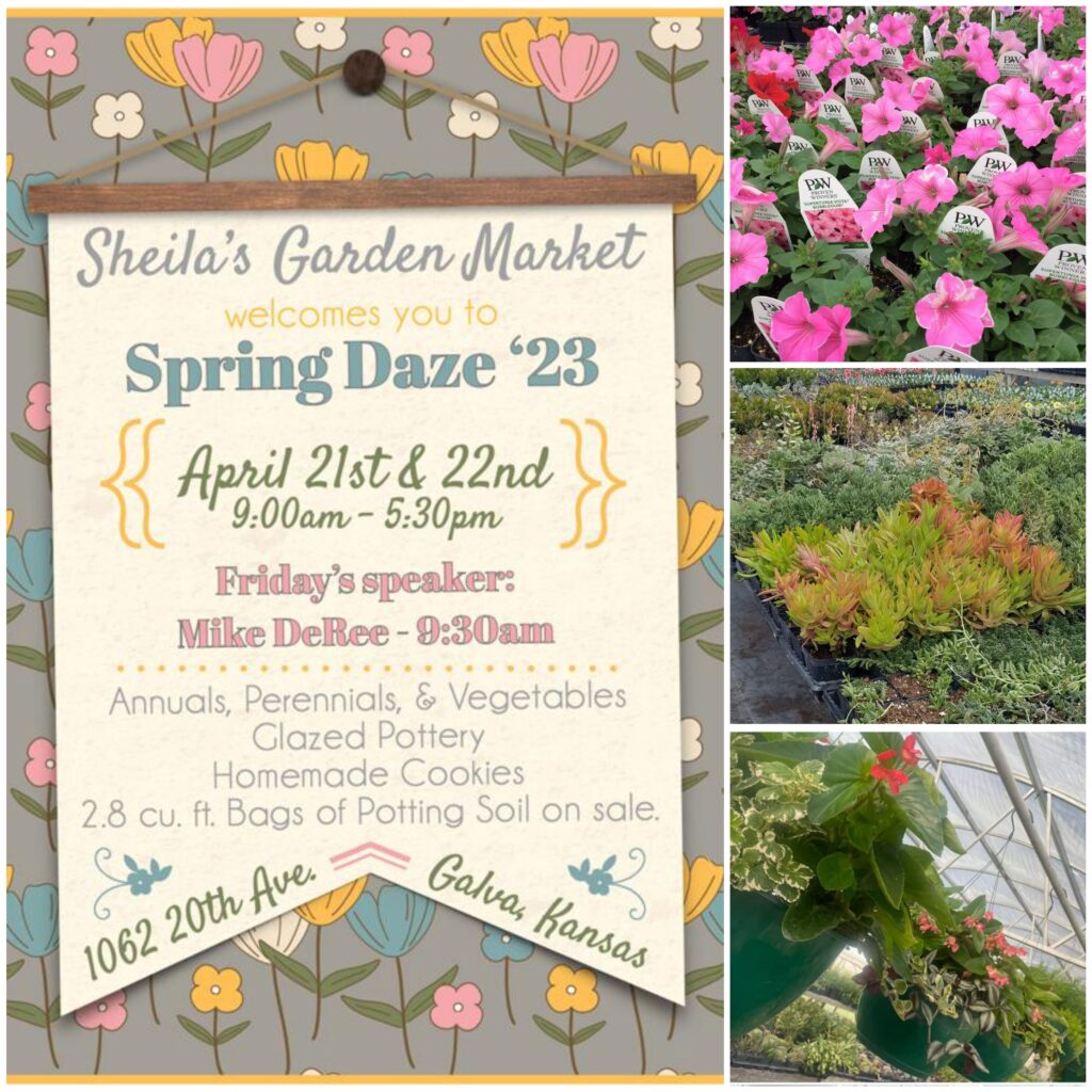 Spring Daze 2023 Sheila's Garden Market